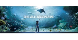 6 LUGLIO 2024 - ACQUARIO DI GENOVA E  WHALEWATCHING NEL MEDITTERANEO