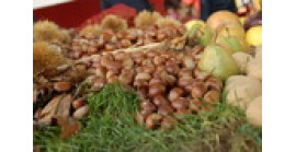 20 OTTOBRE 2024 -FESTA DEI MARRONI - CUNEO