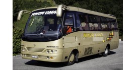 MIDIBUS TOYOTA  ( 24 +1 POSTI )